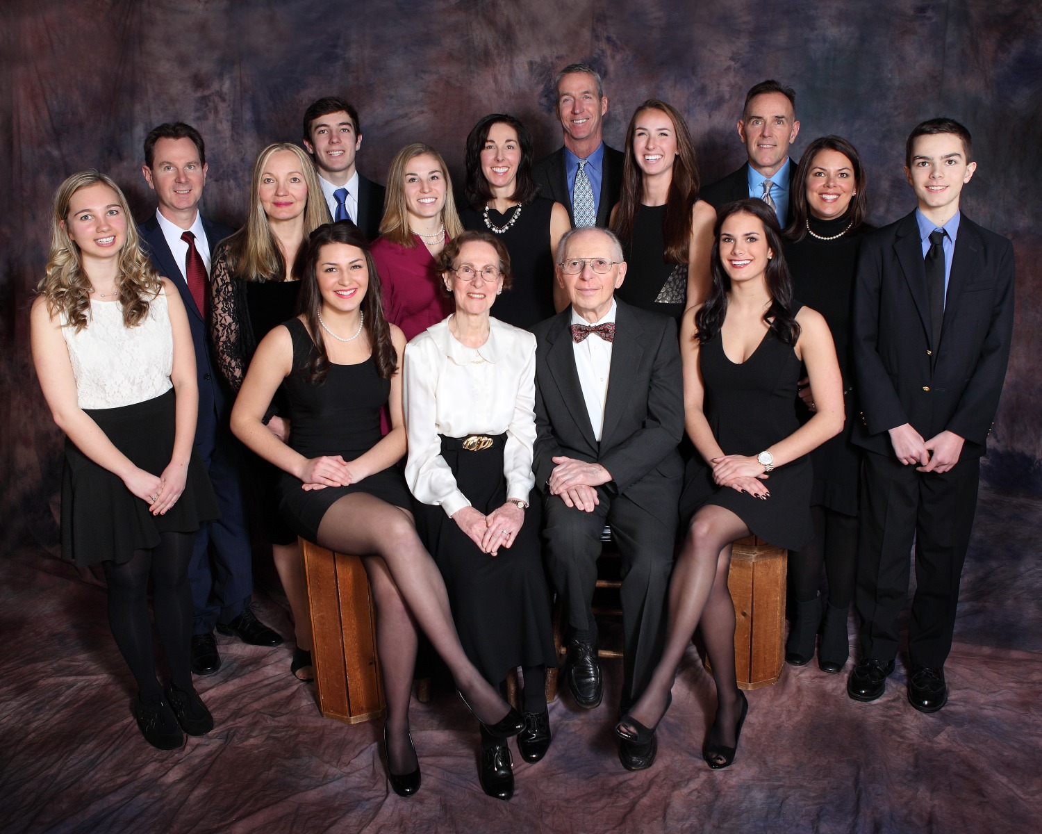 Large family group portrait