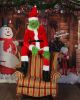 Grinch Visit